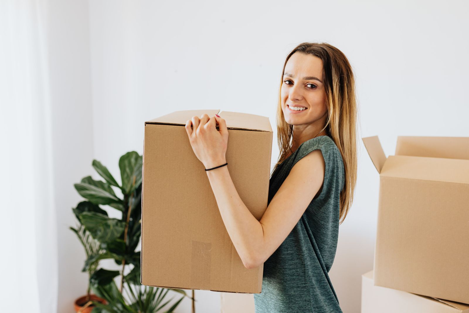 Move In / Move Out Cleaning service